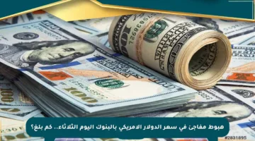 هبوط مفاجئ في سعر الدولار الأمريكي بالبنوك اليوم الثلاثاء.. كم بلغ؟